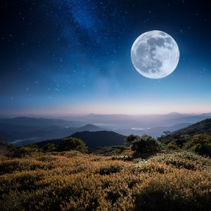 ดาวน์โหลดและฟังเพลง Dejarse Llevar พร้อมเนื้อเพลงจาก Viaje Durmiente