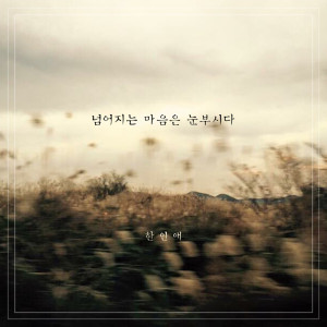 อัลบัม 넘어지는 마음은 눈부시다 Let your Heart Fall Down ศิลปิน Han In Ae