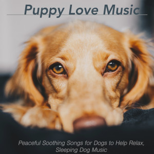 Puppy Music Therapy的专辑Puppy Love Music: Peaceful Soothing Songs for Dogs to Help Relax, Sleeping Dog Music