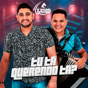 收聽Diego Souza Pisadinha De Luxo的Tu Tá Querendo Tá?歌詞歌曲