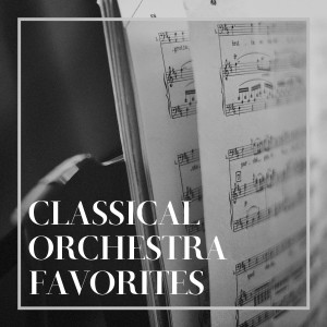 Classical Study Music Ensemble的專輯Classical Orchestra Favorites