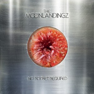 收聽The Moonlandingz的Stink Foot歌詞歌曲