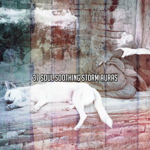 Ambient Rain的專輯37 Soul Soothing Storm Auras