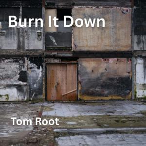 ดาวน์โหลดและฟังเพลง Burn It Down พร้อมเนื้อเพลงจาก Tom Root