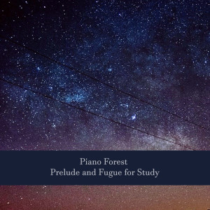 Listen to Slow & Steady song with lyrics from in Library