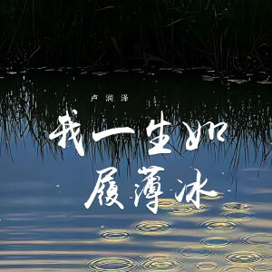 Album 我一生如履薄冰 from 卢润泽