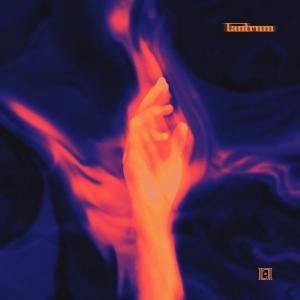 Album Tantrum from Shellin