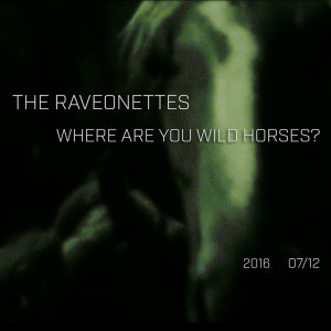 收聽The Raveonettes的Where Are You Wild Horses歌詞歌曲