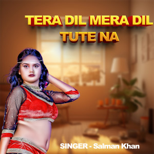 Salman Khan的专辑Tera Dil Mera Dil Tute Na