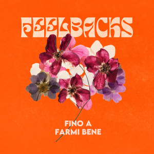 Listen to FINO A FARMI BENE song with lyrics from Feelbacks
