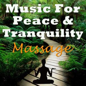 ดาวน์โหลดและฟังเพลง Firefly พร้อมเนื้อเพลงจาก Massage