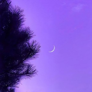 Listen to 今晚月亮不营业，由我对你说晚安 (完整版) song with lyrics from Ice tear
