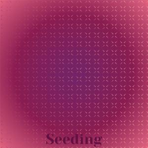 Album Seeding from Various Artists