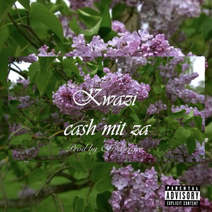 Album Cash Mit Za (Explicit) from Kwazi