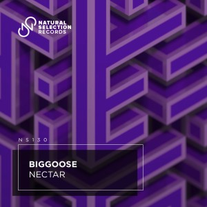 Album Nectar from Biggoose