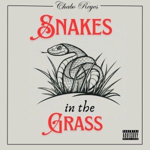 ดาวน์โหลดและฟังเพลง Snakes in the Grass (Explicit) พร้อมเนื้อเพลงจาก Chabo Reyes