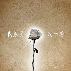 Listen to 我想勇敢活着 song with lyrics from 沈妙极