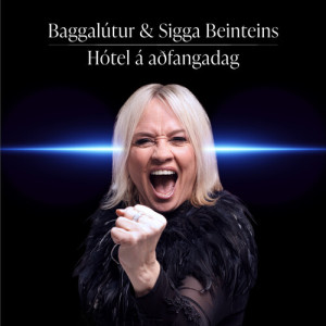 Listen to Hótel á aðfangadag song with lyrics from Baggalútur