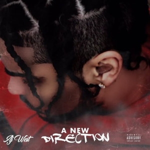 Album A New Direction: Mixtape (Explicit) from 