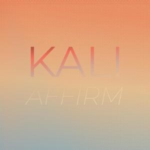 Various的专辑Kali Affirm