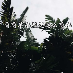 Listen to 简简单单就是这么简单 song with lyrics from 任文豪
