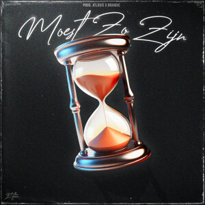 Ndd的專輯Moest Zo Zijn