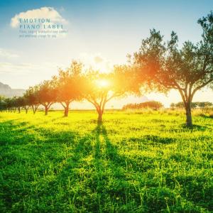 Various Artists的专辑The Sound Of Nature And New Age Piano (Nature Ver.)