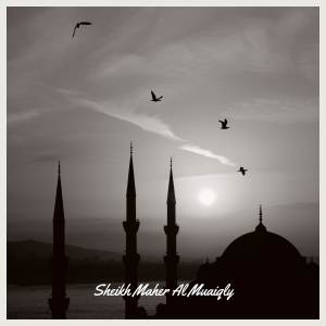 Album Ar Rad oleh Sheikh Maher Al Muaiqly