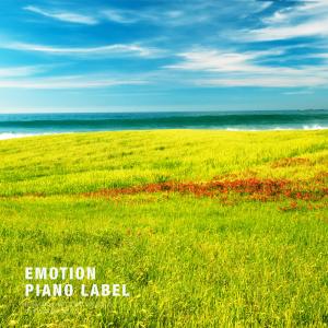 Various Artists的专辑New Age Music for Meditation (Meditation Piano)