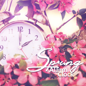 Dengarkan Spring Alarm Clock lagu dari Sound Effects Zone dengan lirik