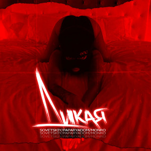 Listen to Дикая song with lyrics from Sovetskiy