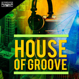 Listen to Like a New Record (Radio Dub Mix) song with lyrics from Vullet Roux