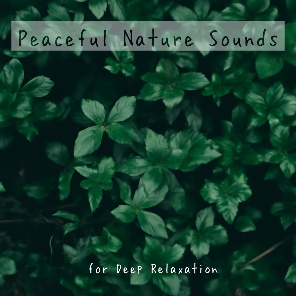 Effortless Focus (Gentle Stream Sounds)
