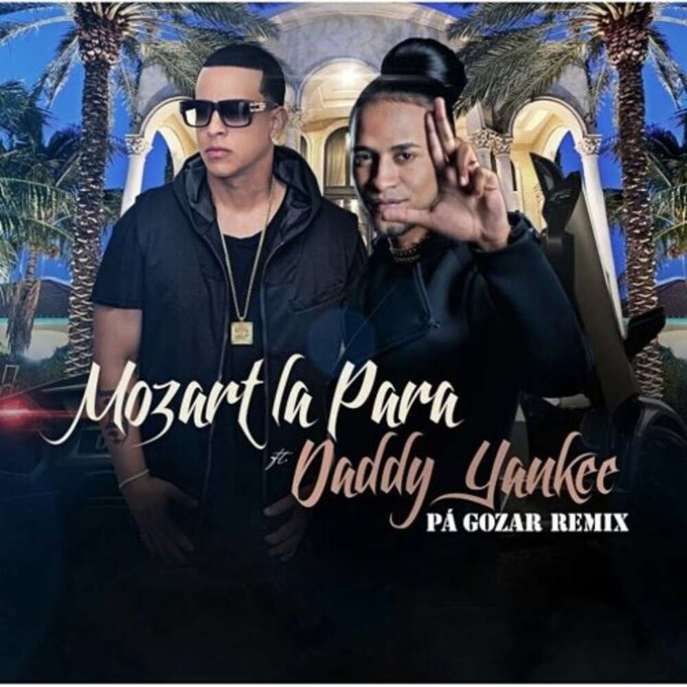 Pa Gozar (Remix) [feat. Daddy Yankee]