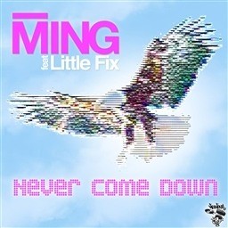 Kah-Ming Ng的專輯Never Come Down feat. Little Fix