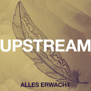 Listen to Zu dir song with lyrics from Upstream