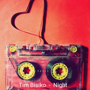 ดาวน์โหลดและฟังเพลง Night พร้อมเนื้อเพลงจาก Tim Bisiko
