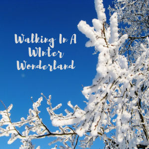 Listen to Walking in a Winter Wonderland song with lyrics from Philip Watts