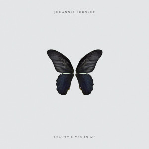 Listen to Beauty Lives in Me (Instrumental Version) song with lyrics from Johannes Bornlöf