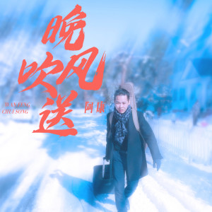 Listen to 晚风吹送 (伴奏) song with lyrics from 王小康