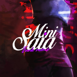 Listen to Mini Saia (Funk Remix|Explicit) song with lyrics from Italo Melo