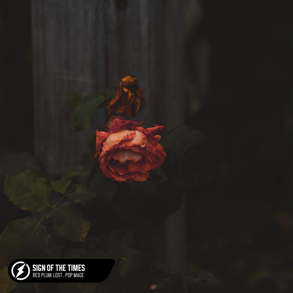 Sign Of The Times (Acoustic)