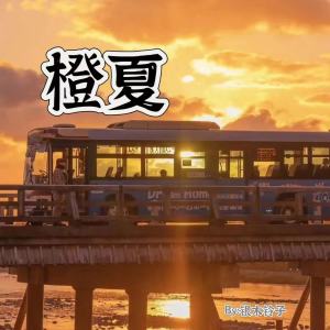 Listen to 橙夏 song with lyrics from 银木铃子