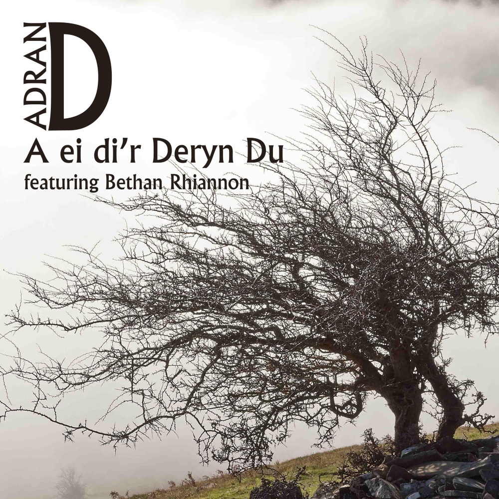 A Ei Di'r Deryn Du