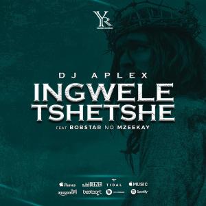ดาวน์โหลดและฟังเพลง Ingweletshetshe (feat. Bobster no Mzeekay) พร้อมเนื้อเพลงจาก Dj Aplex