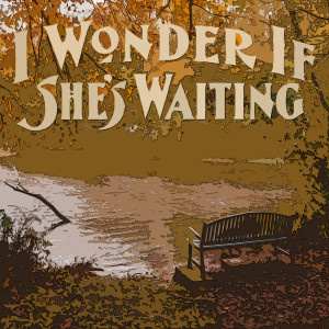 อัลบัม I Wonder If She's Waiting ศิลปิน Hugo Montenegro