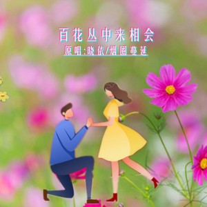 Album 百花丛中来相会DJ(对唱版) from 晓依