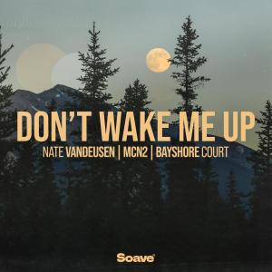 ดาวน์โหลดและฟังเพลง Don't Wake Me Up พร้อมเนื้อเพลงจาก Nate VanDeusen
