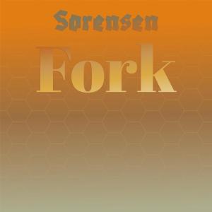 Various Artists的專輯Sorensen Fork