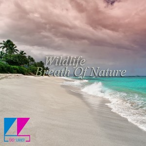 收聽Wildlife的Sleeping Forest歌詞歌曲